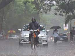 Maharashtra: Heavy rain, strong winds damage 25 electric poles in Thane | Maharashtra: Heavy rain, strong winds damage 25 electric poles in Thane