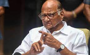 NCP leaders express concern over incidents of communal unrest in Maharashtra | NCP leaders express concern over incidents of communal unrest in Maharashtra NCP leaders express concern over incidents of communal unrest in Maharashtra | NCP leaders express concern over incidents of communal unrest in Maharashtra