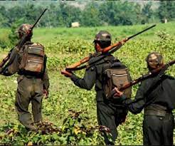 Police, Naxalites exchange fire on Maharashtra-Chhattisgarh border | Police, Naxalites exchange fire on Maharashtra-Chhattisgarh border