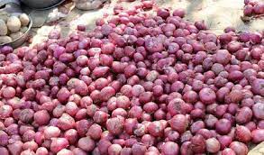 Nashik: Onion auctions to resume at APMCs from August 24 | Nashik: Onion auctions to resume at APMCs from August 24