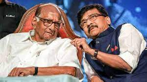 Sharad Pawar using guerilla warfare tactics to fight those who left his party: Sanjay Raut | Sharad Pawar using guerilla warfare tactics to fight those who left his party: Sanjay Raut