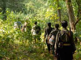 Gadchiroli: Naxalites gunned down villager over support for mining project | Gadchiroli: Naxalites gunned down villager over support for mining project