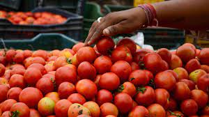Pune: Farmer loses 400 kg of tomatoes to theft | Pune: Farmer loses 400 kg of tomatoes to theft Pune: Farmer loses 400 kg of tomatoes to theft | Pune: Farmer loses 400 kg of tomatoes to theft