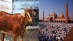 Mumbai: Ahead of Bakrid, thieves strike at Deonar goat market | Mumbai: Ahead of Bakrid, thieves strike at Deonar goat market