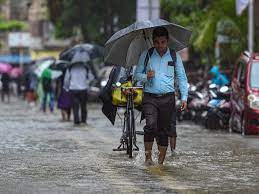 IMD predicts heavy to very heavy rainfall in six Maharashtra districts | IMD predicts heavy to very heavy rainfall in six Maharashtra districts