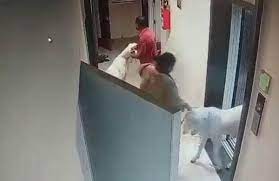Thane: Man brings goat to his house ahead of Bakrid, residents chant Hanuman Chalisa in protest | Thane: Man brings goat to his house ahead of Bakrid, residents chant Hanuman Chalisa in protest