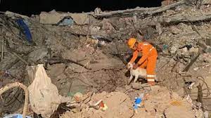 Thane: Protection wall of housing society collapses, no casualties reported | Thane: Protection wall of housing society collapses, no casualties reported Thane: Protection wall of housing society collapses, no casualties reported | Thane: Protection wall of housing society collapses, no casualties reported