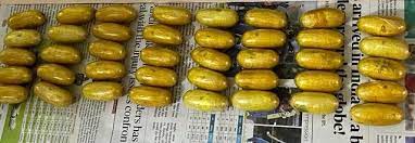 Mumbai: African national swallows 43 capsules of heroin worth Rs 5 crore | Mumbai: African national swallows 43 capsules of heroin worth Rs 5 crore