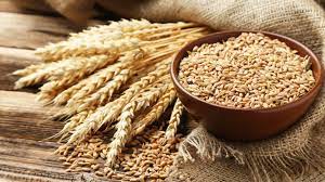 Centre eases restriction on wheat exports, allows consignments registered by May 13 to go through | Centre eases restriction on wheat exports, allows consignments registered by May 13 to go through