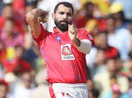 Mohammed Shami's IPL performance to decide pacer's T20 career with India - Reports | Mohammed Shami's IPL performance to decide pacer's T20 career with India - Reports
