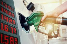 No relief in petrol and diesel rates after 9 days, as prices surge | No relief in petrol and diesel rates after 9 days, as prices surge