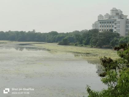 DPS Lake Conservation: Minister Ganesh Naik Vows to Protect Wetlands and Mangroves, Criticizes CIDCO for Ignoring Environmental Concerns