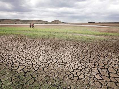 State cabinet declares drought in 40 talukas in Maharashtra | State cabinet declares drought in 40 talukas in Maharashtra