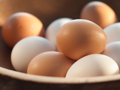 Woman in Bengaluru Falls Victim to Online Scam: Attempts to Purchase Four Dozen Eggs for Rs 49, Loses Rs 48,000 | Woman in Bengaluru Falls Victim to Online Scam: Attempts to Purchase Four Dozen Eggs for Rs 49, Loses Rs 48,000