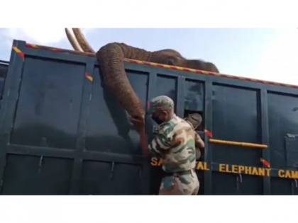 Viral Video! Forest Ranger's emotional goodbye to dead elephant, heart-wrenching video goes viral | Viral Video! Forest Ranger's emotional goodbye to dead elephant, heart-wrenching video goes viral