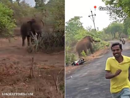 Elephant Attack In Gadchiroli: Wild Jumbo Charges at Passerby In Porla; Man Abandons Bike To Escape (Watch Video) | Elephant Attack In Gadchiroli: Wild Jumbo Charges at Passerby In Porla; Man Abandons Bike To Escape (Watch Video) Elephant Attack In Gadchiroli: Wild Jumbo Charges at Passerby In Porla; Man Abandons Bike To Escape (Watch Video) | Elephant Attack In Gadchiroli: Wild Jumbo Charges at Passerby In Porla; Man Abandons Bike To Escape (Watch Video)