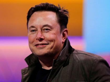 The bird is freed': Elon Musk takes dig at sacked employees after Twitter takeover | The bird is freed': Elon Musk takes dig at sacked employees after Twitter takeover