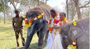 The Elephant Whisperers’ Bomman and Bellie allege exploitation and non-payment by docu makers | The Elephant Whisperers’ Bomman and Bellie allege exploitation and non-payment by docu makers The Elephant Whisperers’ Bomman and Bellie allege exploitation and non-payment by docu makers | The Elephant Whisperers’ Bomman and Bellie allege exploitation and non-payment by docu makers