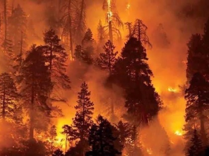 Uttarakhand Forest Fires: Devastating visuals emerge on Twitter as India prays for Uttarakhand | Uttarakhand Forest Fires: Devastating visuals emerge on Twitter as India prays for Uttarakhand