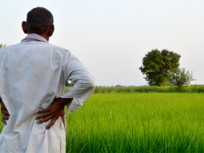 Maharashtra: Wada Farmer Receives ₹2.30 Compensation After Crop Loss, Officials Blame Technical Glitch | Maharashtra: Wada Farmer Receives ₹2.30 Compensation After Crop Loss, Officials Blame Technical Glitch