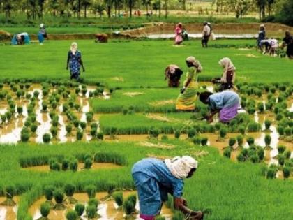 Karnataka Budget 2022: In Karnataka three lakh farmers to get Rs 24,000 cr as farm loans | Karnataka Budget 2022: In Karnataka three lakh farmers to get Rs 24,000 cr as farm loans