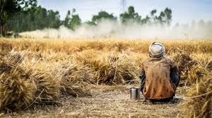 Maharashtra: Flood-Hit 62-Year Old Farmer from Borgaon Electrocutes Himself After Crop Loss | Maharashtra: Flood-Hit 62-Year Old Farmer from Borgaon Electrocutes Himself After Crop Loss