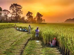 Economic Survey 2023: Agriculture credit flow 13% more than the target of ₹16.5 lakh crore in 2021-22 | Economic Survey 2023: Agriculture credit flow 13% more than the target of ₹16.5 lakh crore in 2021-22