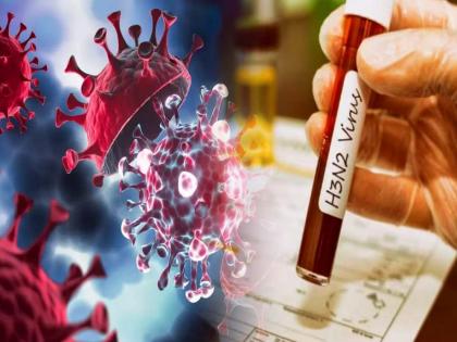 73-year-old man dies from H3N2 virus in Pimpri Chinchwad, four test positive | 73-year-old man dies from H3N2 virus in Pimpri Chinchwad, four test positive