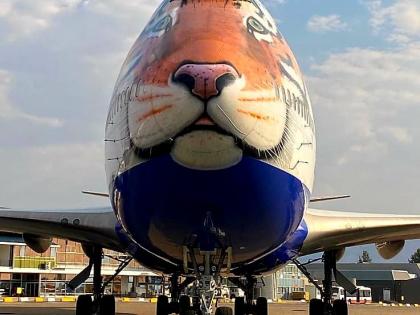 Special customised tiger-faced plane lands in Namibia to bring cheetahs to India | Special customised tiger-faced plane lands in Namibia to bring cheetahs to India