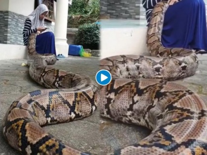 20-foot-tall snake sleeps in lap of girl, video goes viral | 20-foot-tall snake sleeps in lap of girl, video goes viral