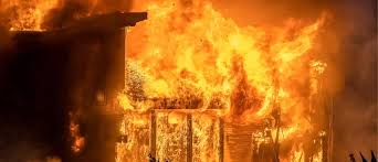 Thane: 85-Year Old Woman Dies by Suicide After Setting Herself Ablaze In Ambernath | Thane: 85-Year Old Woman Dies by Suicide After Setting Herself Ablaze In Ambernath Thane: 85-Year Old Woman Dies by Suicide After Setting Herself Ablaze In Ambernath | Thane: 85-Year Old Woman Dies by Suicide After Setting Herself Ablaze In Ambernath