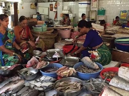 Mumbai to Get Eco-Friendly International Fish Market with Cultural Hub | Mumbai to Get Eco-Friendly International Fish Market with Cultural Hub
