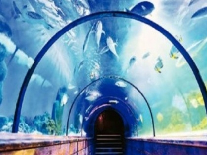 Byculla Zoo's Ambitious Plan: Fish Tunnel Aquarium Inspired by Singapore and Dubai | Byculla Zoo's Ambitious Plan: Fish Tunnel Aquarium Inspired by Singapore and Dubai