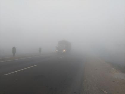 Widespread Fog Impairs Visibility Across Punjab and Haryana | Widespread Fog Impairs Visibility Across Punjab and Haryana