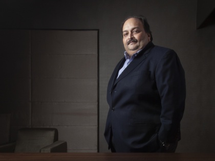 Bombay High Court rejects plea by Mehul Choksi challenging ED application to declare him a fugitive economic offender | Bombay High Court rejects plea by Mehul Choksi challenging ED application to declare him a fugitive economic offender