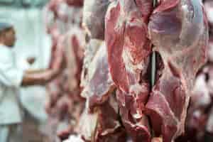 Bengaluru civic body bans animal slaughtering and sale of meat ahead of Ganesh Chaturthi | Bengaluru civic body bans animal slaughtering and sale of meat ahead of Ganesh Chaturthi