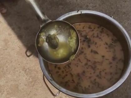 Gwalior: Frog Found in School Mid-Day Meal; Probe Launched After Video Goes Viral | Gwalior: Frog Found in School Mid-Day Meal; Probe Launched After Video Goes Viral