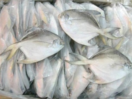 China detects COVID-19 virus on pomfret fish exported from India | China detects COVID-19 virus on pomfret fish exported from India