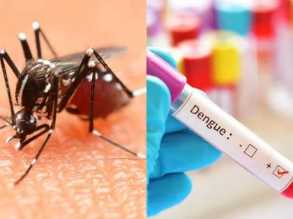 Mumbai reports spike in dengue infections in September | Mumbai reports spike in dengue infections in September Mumbai reports spike in dengue infections in September | Mumbai reports spike in dengue infections in September