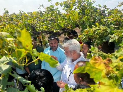 Nashik: Dada Bhuse directs prompt completion of crop assessment work | Nashik: Dada Bhuse directs prompt completion of crop assessment work