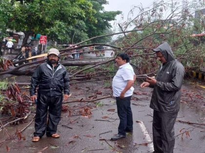 Tree falls in front of Superintendent of Police's office | Tree falls in front of Superintendent of Police's office