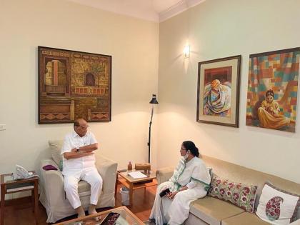 Mamata Banerjee & Sharad Pawar meet to discuss upcoming Presidential election | Mamata Banerjee & Sharad Pawar meet to discuss upcoming Presidential election
