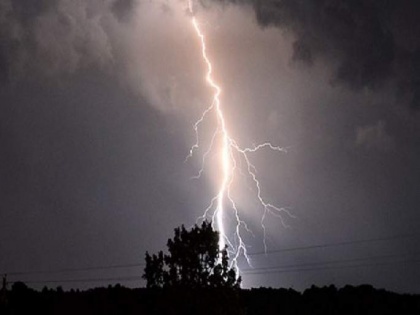 Gadchiroli: Lightning kills family of four seeking shelter under tree | Gadchiroli: Lightning kills family of four seeking shelter under tree