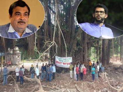 Aditya Thackeray writes to Nitin Gadkari, urges him to save 400 year old banyan tree | Aditya Thackeray writes to Nitin Gadkari, urges him to save 400 year old banyan tree