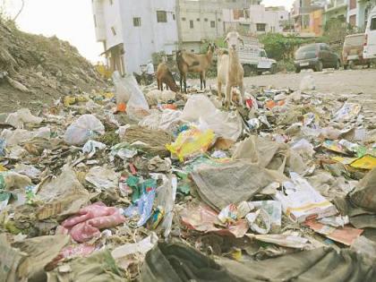 Chhatrapati Sambhajinagar: CSMC imposes fine for non-segregation of garbage, citizens urged to comply | Chhatrapati Sambhajinagar: CSMC imposes fine for non-segregation of garbage, citizens urged to comply