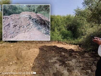 Navi Mumbai: Environmentalists Urge Restoration of Vashi Mangroves, Call for Debris Clearance | Navi Mumbai: Environmentalists Urge Restoration of Vashi Mangroves, Call for Debris Clearance Navi Mumbai: Environmentalists Urge Restoration of Vashi Mangroves, Call for Debris Clearance | Navi Mumbai: Environmentalists Urge Restoration of Vashi Mangroves, Call for Debris Clearance