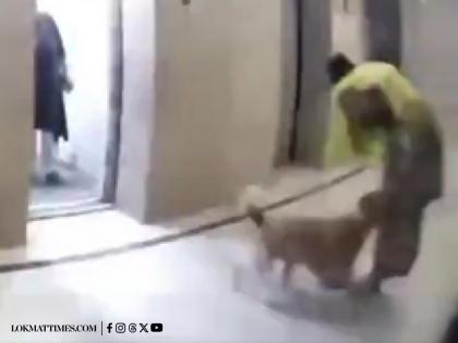 Dog Attack in Ghaziabad: Pet Dog Bites Woman in Housing Society, Owner Walks Away (Watch Video) | Dog Attack in Ghaziabad: Pet Dog Bites Woman in Housing Society, Owner Walks Away (Watch Video)