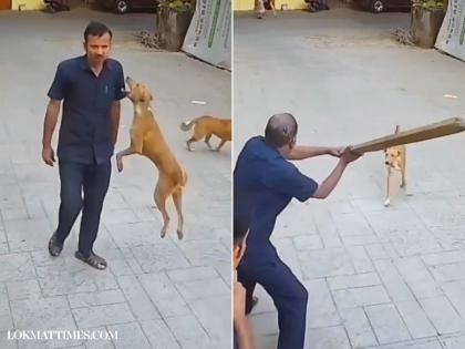 Dog Attack in Mumbai: School Security Guard Injured After Stray Dog Bites His Shoulder in Goregaon; Dramatic CCTV Footage Goes Viral | Dog Attack in Mumbai: School Security Guard Injured After Stray Dog Bites His Shoulder in Goregaon; Dramatic CCTV Footage Goes Viral