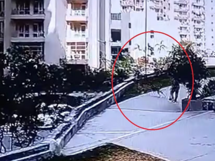 Greater Noida: Woman Falls from Around 20 Feet While Trying to Escape Pet Dog Attack; Critically Injured, Horrific Video Surfaces | Greater Noida: Woman Falls from Around 20 Feet While Trying to Escape Pet Dog Attack; Critically Injured, Horrific Video Surfaces Greater Noida: Woman Falls from Around 20 Feet While Trying to Escape Pet Dog Attack; Critically Injured, Horrific Video Surfaces | Greater Noida: Woman Falls from Around 20 Feet While Trying to Escape Pet Dog Attack; Critically Injured, Horrific Video Surfaces
