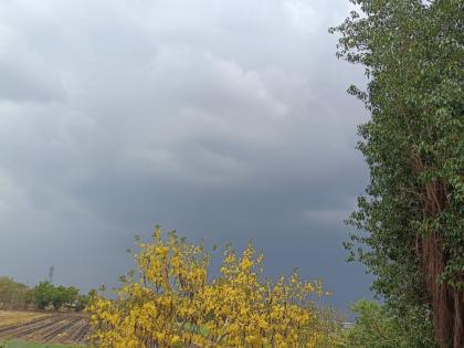 Gujarat Weather Update: IMD Forecasts Thunderstorms With Lightning for Next Few Days | Gujarat Weather Update: IMD Forecasts Thunderstorms With Lightning for Next Few Days Gujarat Weather Update: IMD Forecasts Thunderstorms With Lightning for Next Few Days | Gujarat Weather Update: IMD Forecasts Thunderstorms With Lightning for Next Few Days